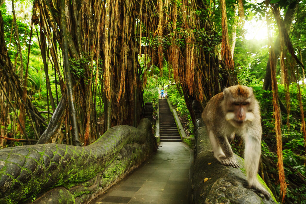 Dragon Bridge in Monkey Forest, Ubud, Bali, Indonesia